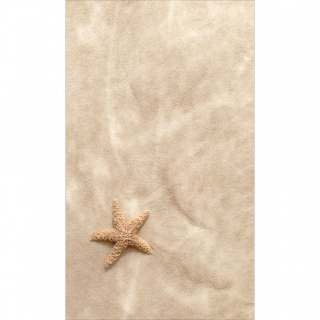 Panneau mural Starfish