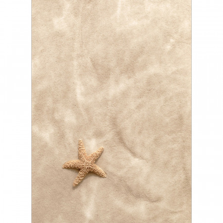 Panneau mural Starfish