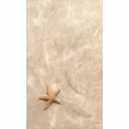 Panneau mural Starfish