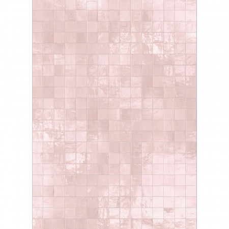 Panneau mural Zephyr rose