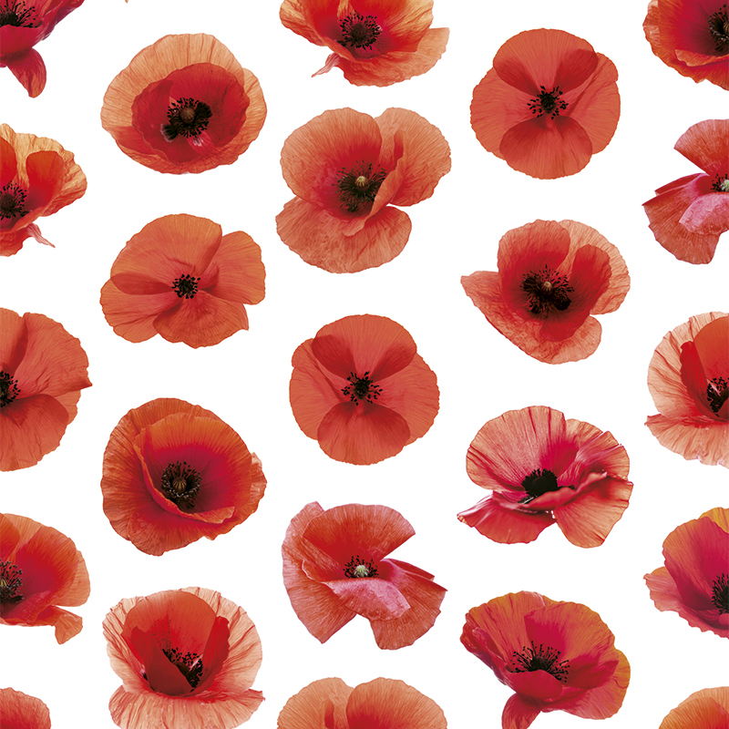 Poppies